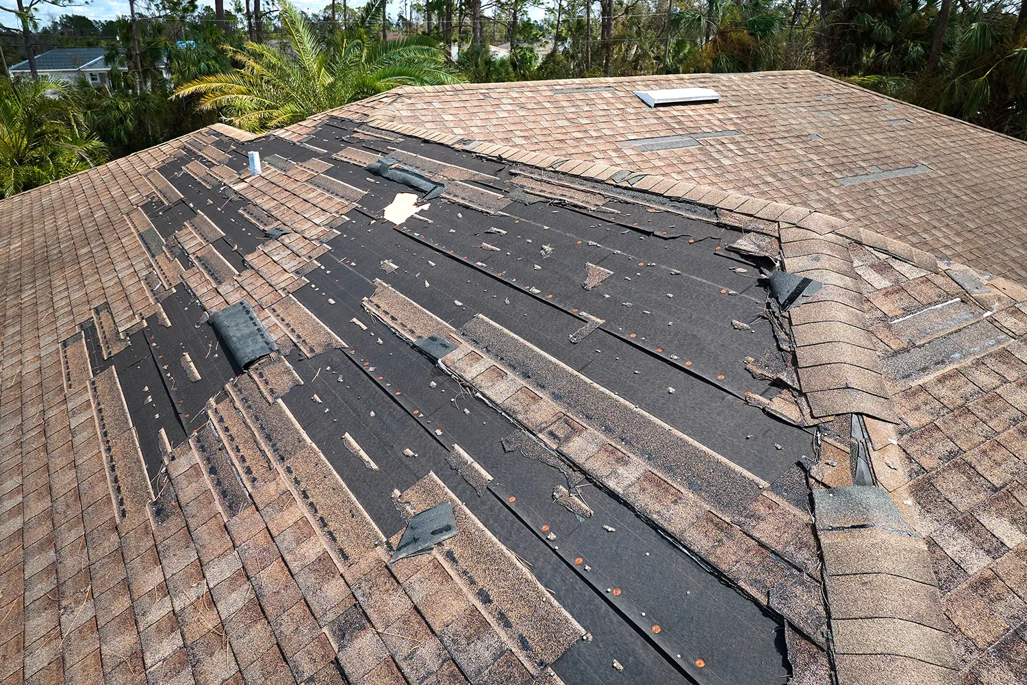 roofs with damage after a storm
