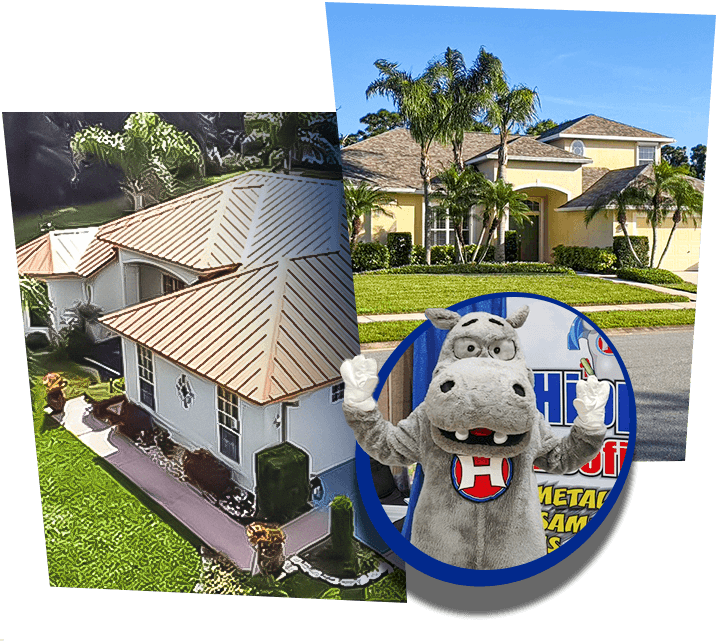 Why Choose Hippo Roofing