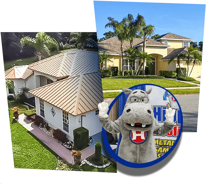 Why Choose Hippo Roofing