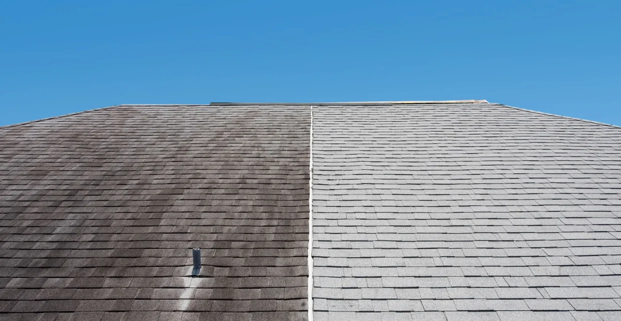 One roof, half with ordinary shingles showing black algae streaks and half with 3M Scotchgard Protector shingles still clean